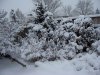 100_0305.jpg