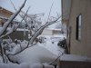 100_0306.jpg