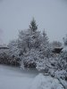 100_0307.jpg