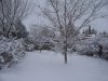 100_0308.jpg
