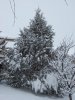 100_0309.jpg