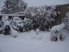 100_0310.jpg