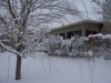 100_0311.jpg