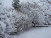 100_0312.jpg