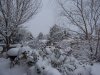 100_0313.jpg