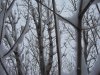 100_0317.jpg