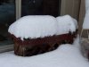 100_0318.jpg