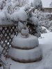 100_0319.jpg
