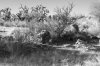 Final-Resting-Place-B-W.jpg