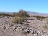 IMG_0462.JPG
