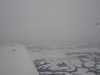 DSC00959.JPG