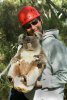 Hunter & Bear Small.jpg Hunter & Bear Small.jpg