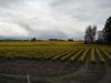 DSCN2487.JPG