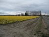 DSCN2490.JPG