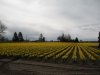 DSCN2494.JPG