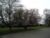 DSCN2493.JPG