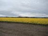 DSCN2492.JPG