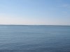 PA096795.JPG
