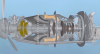 pt6.png