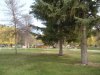 DSCN2595.JPG