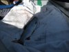 DSCN2613.JPG