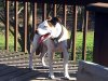 20120317_162020.jpg