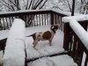 20120224_100231.jpg