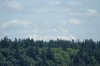 DSC07743.JPG