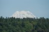 DSC07755.JPG