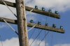 broken_telegrapgh_wires.jpg