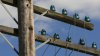 broken_telegrapgh_wires.jpg broken_telegrapgh_wires.jpg