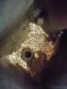 DSCN2858.jpg