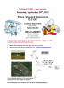 fly-in Flyer4.png