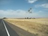 DSCN3120.JPG