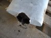 DSCN3213.JPG