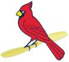 bird.jpg
