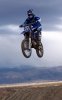 MX.jpg