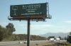 Bill Board Art Project3.jpg