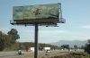 Bill Board Art Project4.jpg