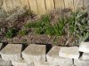 DSCN3495.JPG