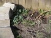 DSCN3496.JPG