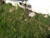 DSCN3497.JPG