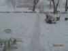 IMG_1250.JPG