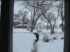 IMG_1254.JPG