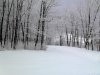 snow.jpg