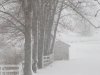 Snow updates 006.JPG