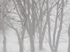 Snow updates 007.JPG