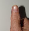 DSC00062.JPG