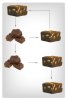 Fudge-Factor.jpg