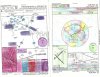 kids approach  plates scan0001.jpg